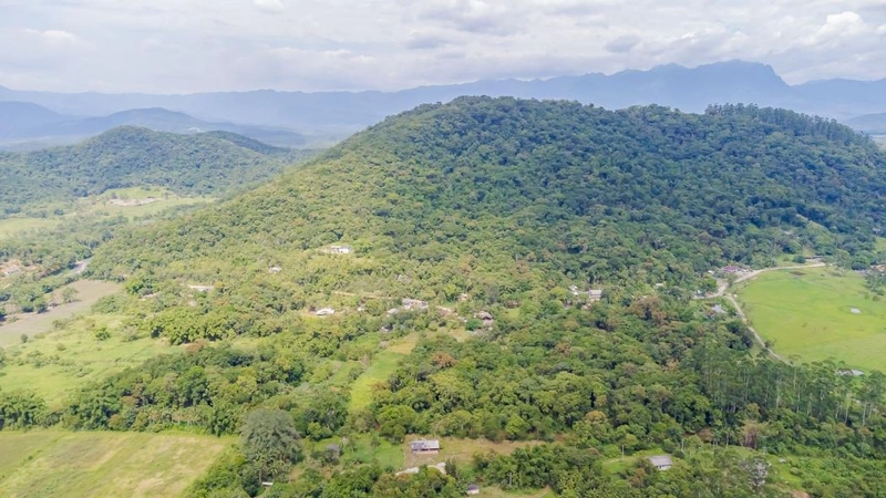 null: 43ª foto da galeria de imagens do imóvel