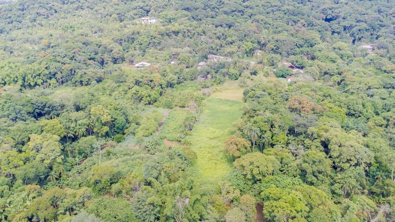 null: 46ª foto da galeria de imagens do imóvel