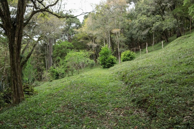 null: 11ª foto da galeria de imagens do imóvel