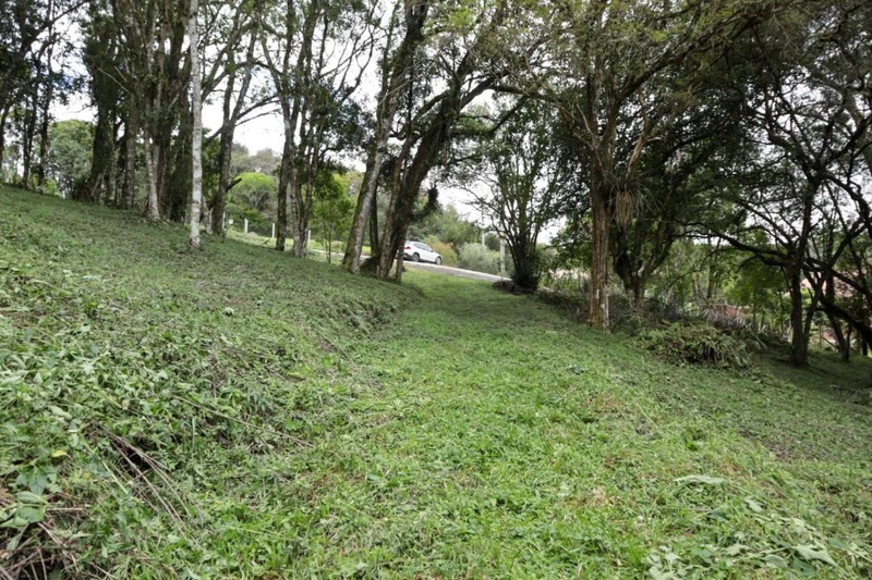 null: 12ª foto da galeria de imagens do imóvel