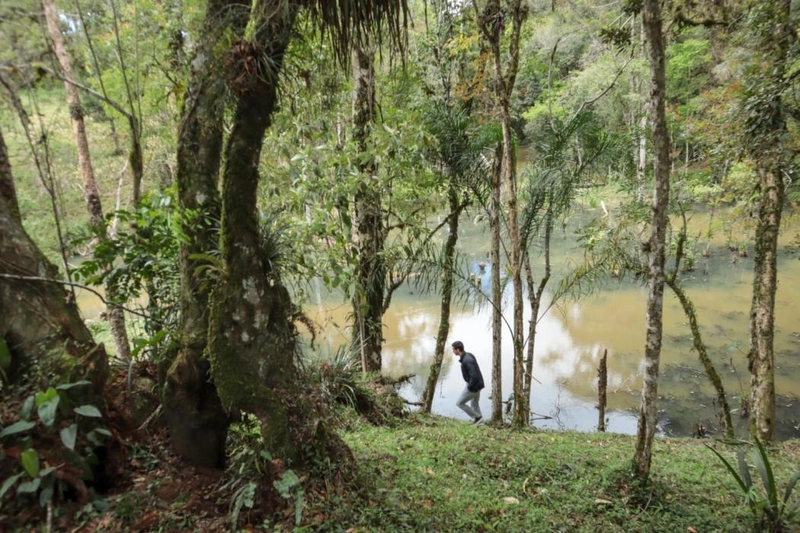 null: 14ª foto da galeria de imagens do imóvel