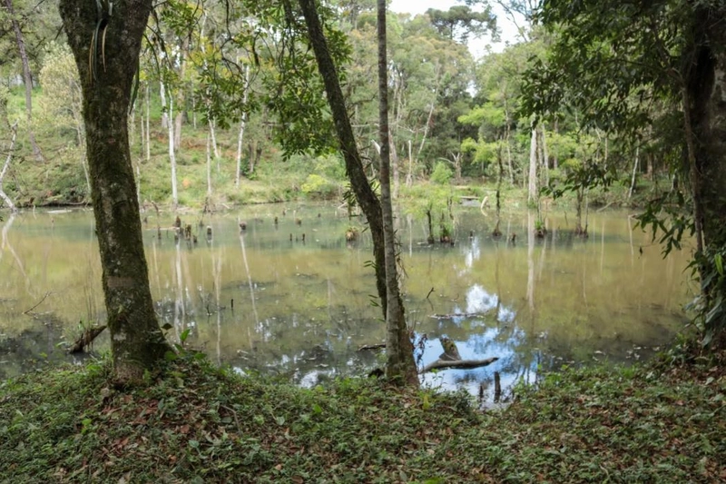 null: 15ª foto da galeria de imagens do imóvel