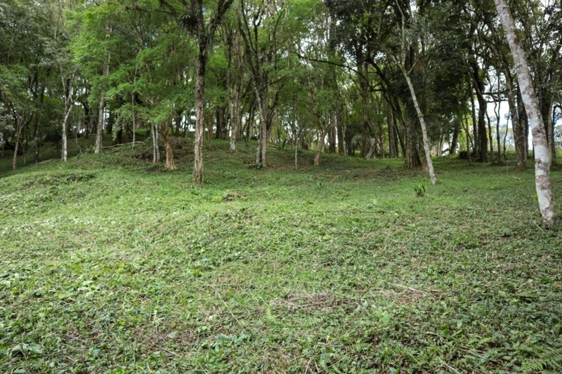 null: 16ª foto da galeria de imagens do imóvel