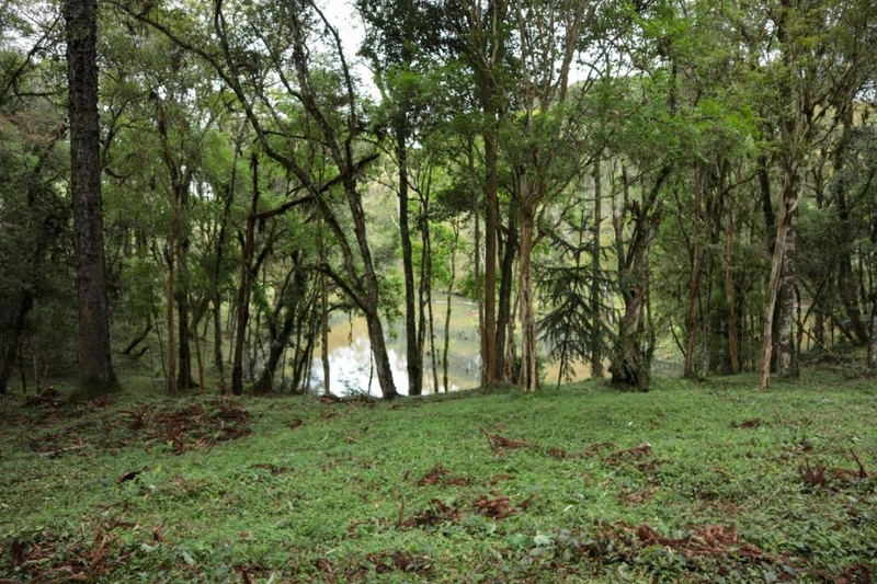 null: 17ª foto da galeria de imagens do imóvel