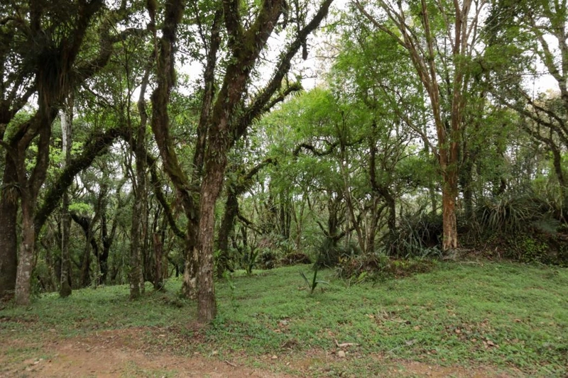 null: 7ª foto da galeria de imagens do imóvel