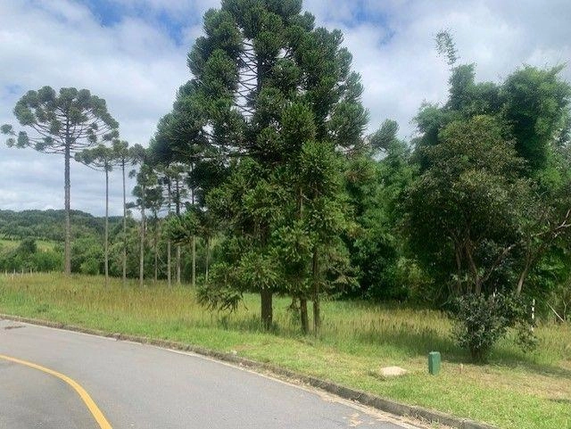 null: 8ª foto da galeria de imagens do imóvel