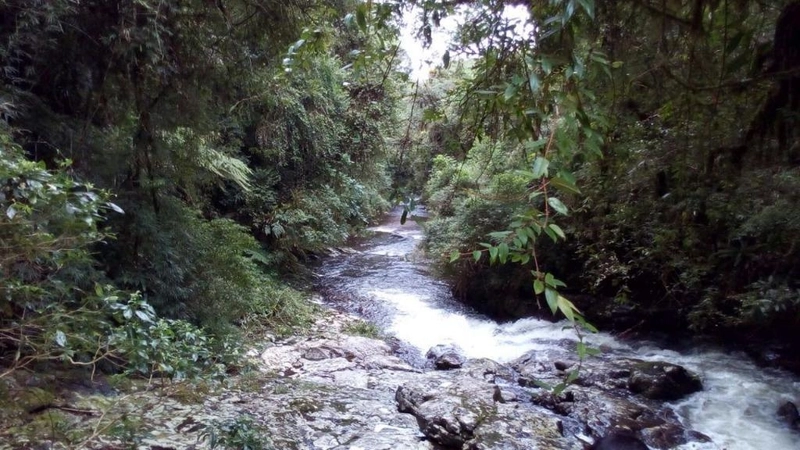 null: 3ª foto da galeria de imagens do imóvel