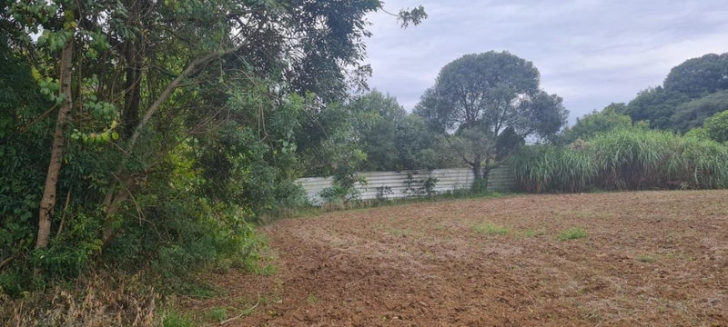 null: 11ª foto da galeria de imagens do imóvel