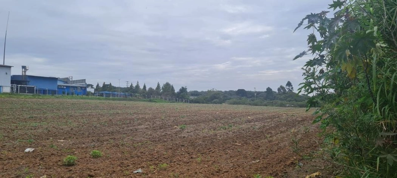 null: 13ª foto da galeria de imagens do imóvel