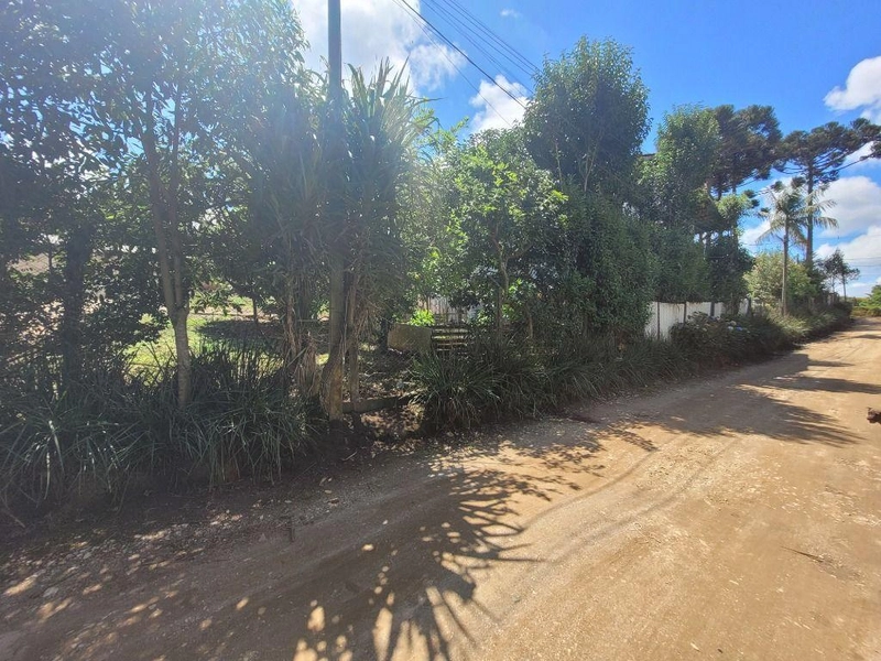 null: 10ª foto da galeria de imagens do imóvel