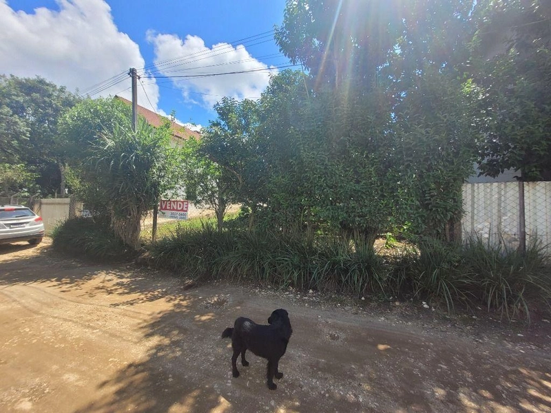 null: 12ª foto da galeria de imagens do imóvel