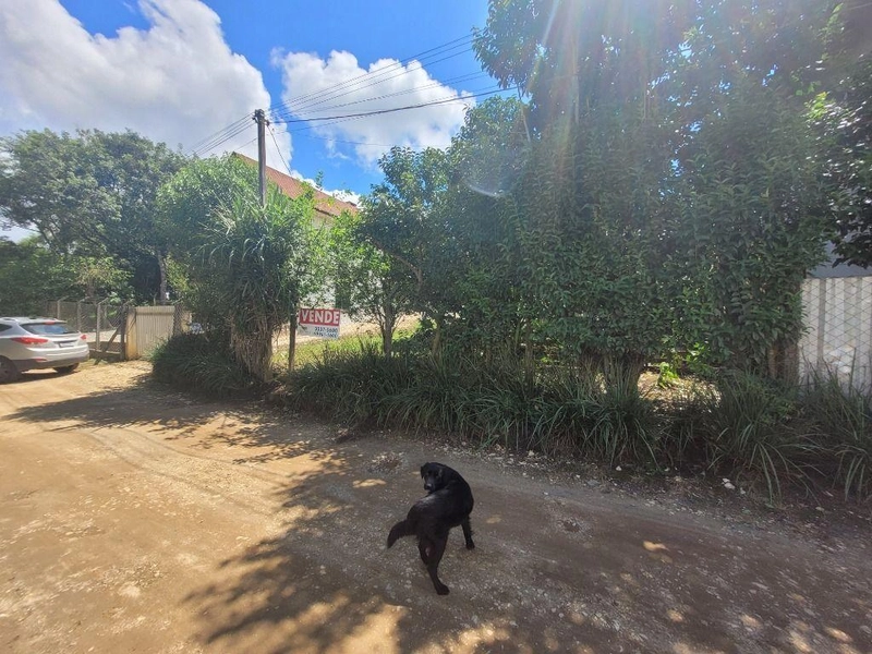 null: 13ª foto da galeria de imagens do imóvel