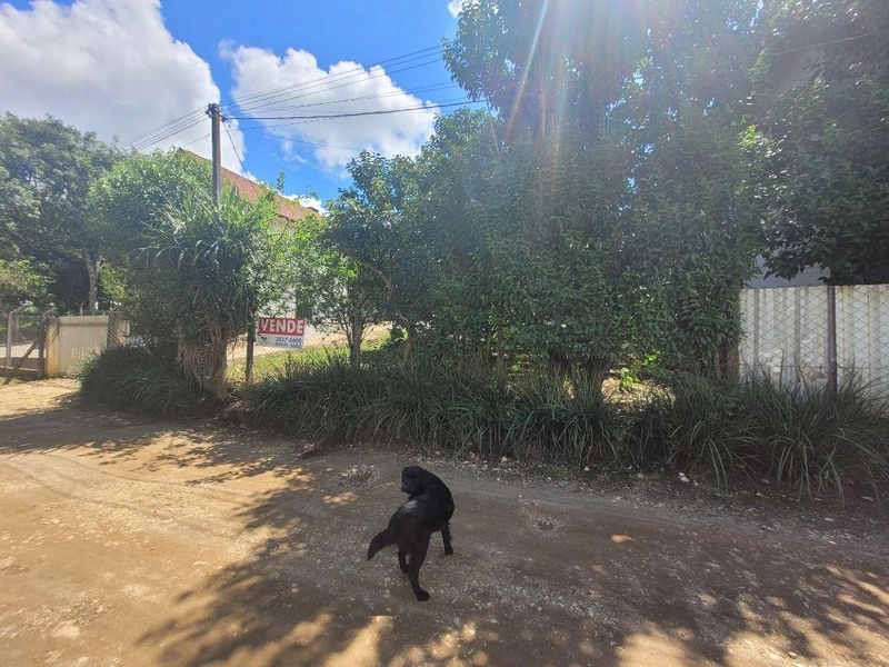 null: 14ª foto da galeria de imagens do imóvel