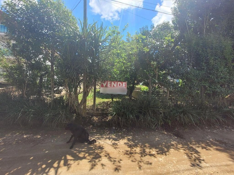 null: 17ª foto da galeria de imagens do imóvel