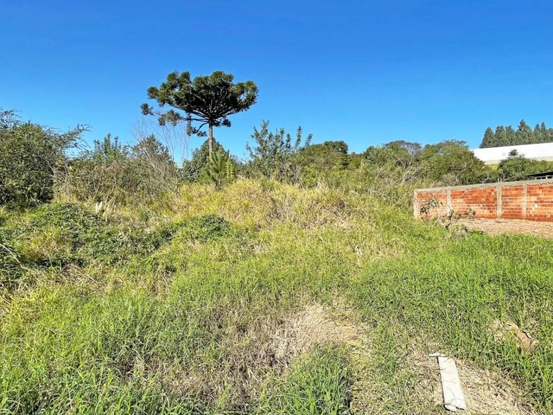 null: 1ª foto da galeria de imagens do imóvel