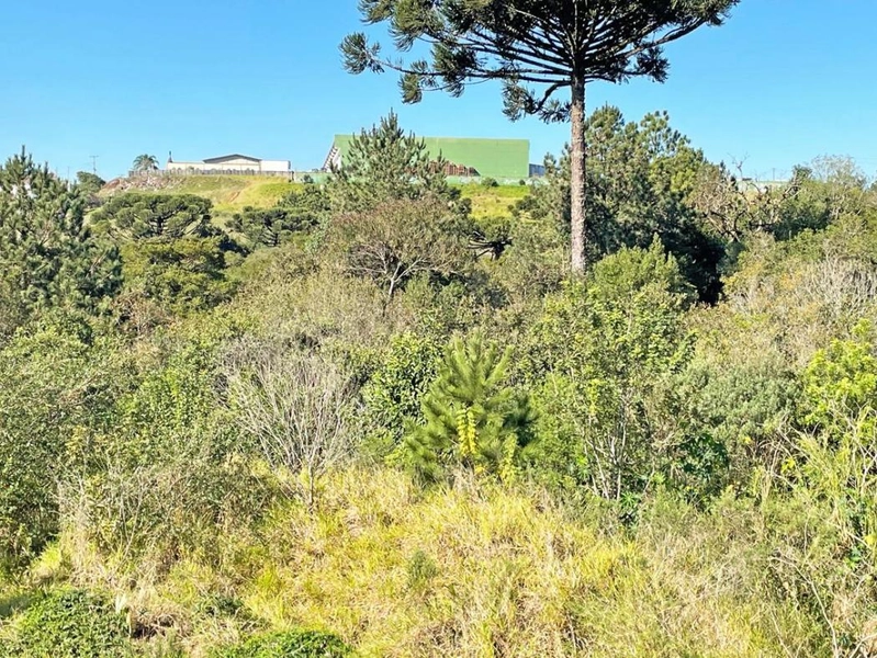 null: 6ª foto da galeria de imagens do imóvel