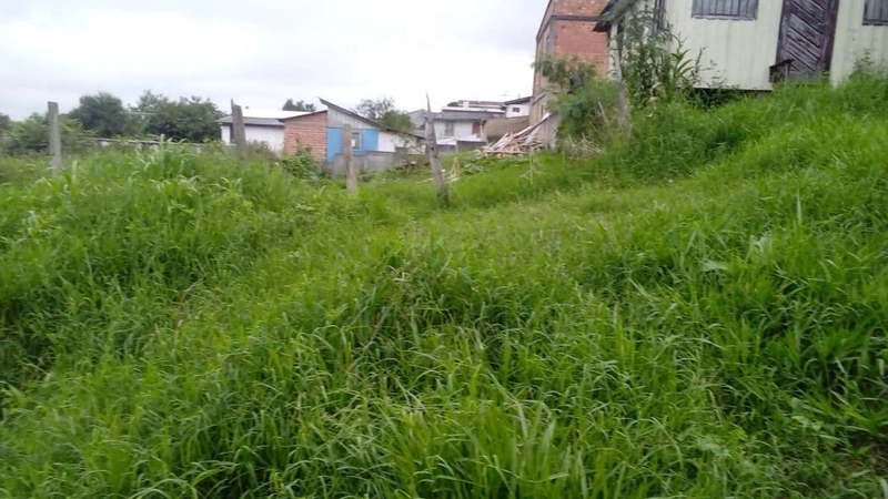 null: 7ª foto da galeria de imagens do imóvel