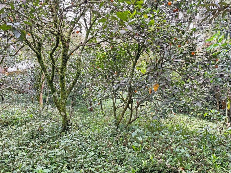 null: 11ª foto da galeria de imagens do imóvel