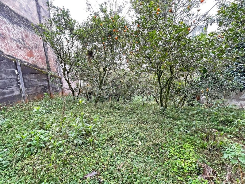 null: 12ª foto da galeria de imagens do imóvel