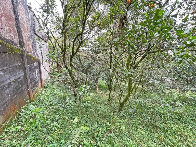 null: 13ª foto da galeria de imagens do imóvel