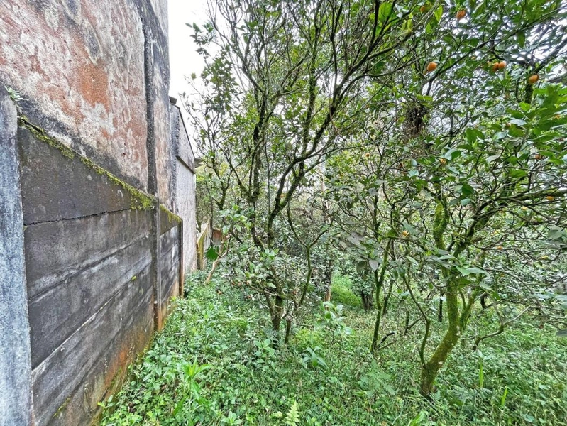 null: 15ª foto da galeria de imagens do imóvel