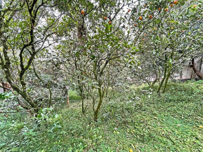 null: 16ª foto da galeria de imagens do imóvel