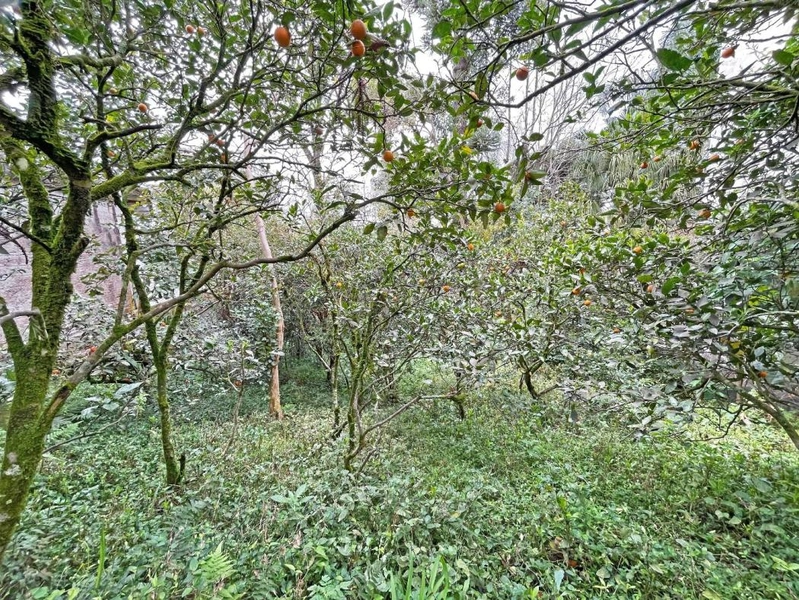 null: 17ª foto da galeria de imagens do imóvel