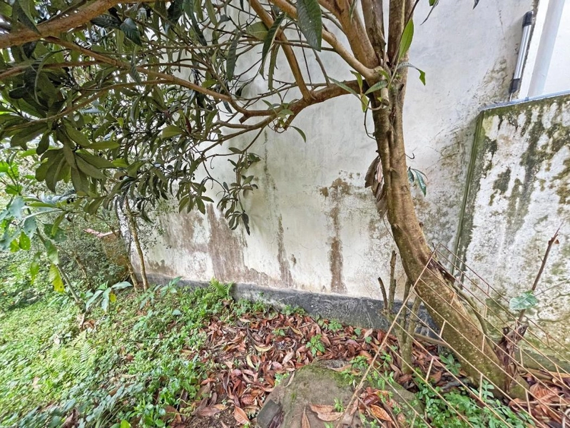 null: 19ª foto da galeria de imagens do imóvel