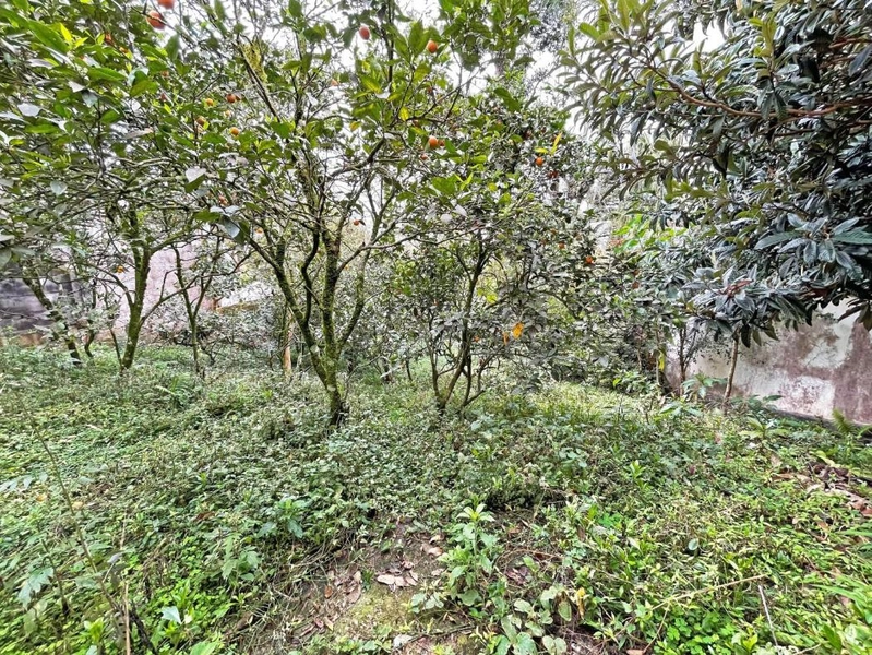 null: 2ª foto da galeria de imagens do imóvel