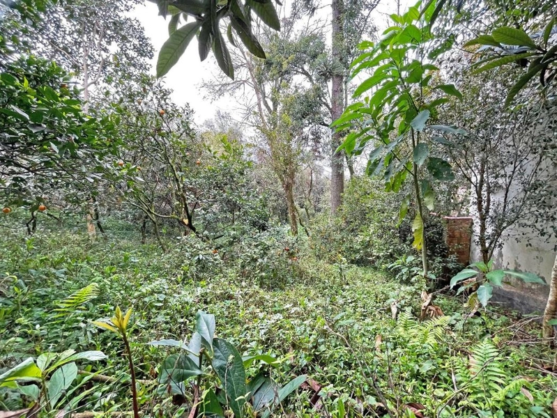 null: 20ª foto da galeria de imagens do imóvel