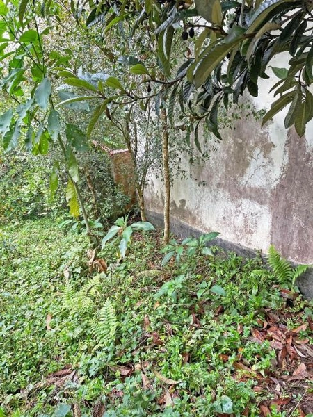 null: 21ª foto da galeria de imagens do imóvel