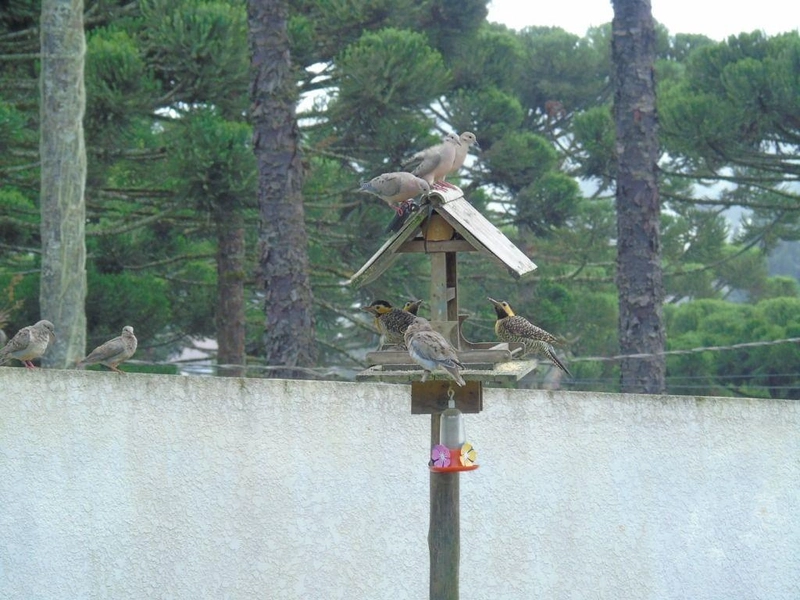 null: 49ª foto da galeria de imagens do imóvel