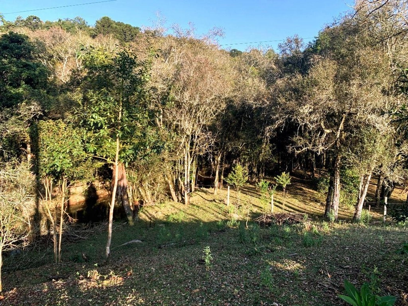 null: 22ª foto da galeria de imagens do imóvel