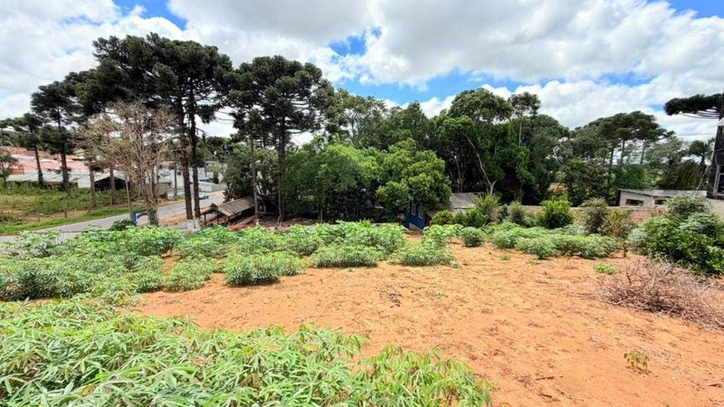 null: 11ª foto da galeria de imagens do imóvel