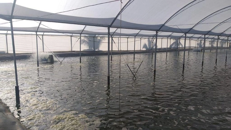 null: 16ª foto da galeria de imagens do imóvel