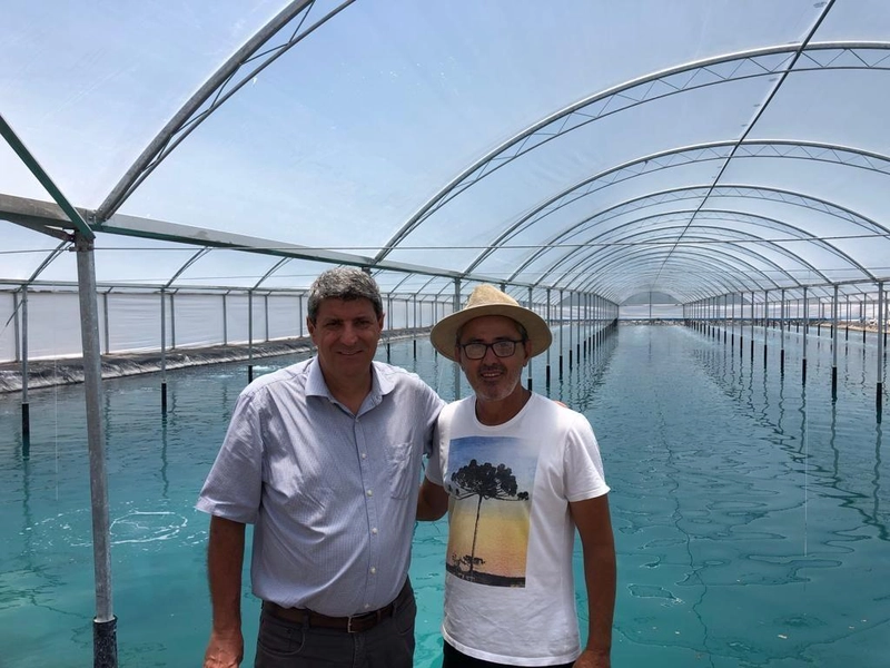 null: 8ª foto da galeria de imagens do imóvel