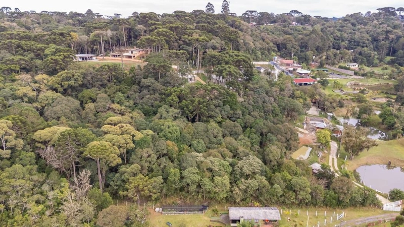 null: 15ª foto da galeria de imagens do imóvel