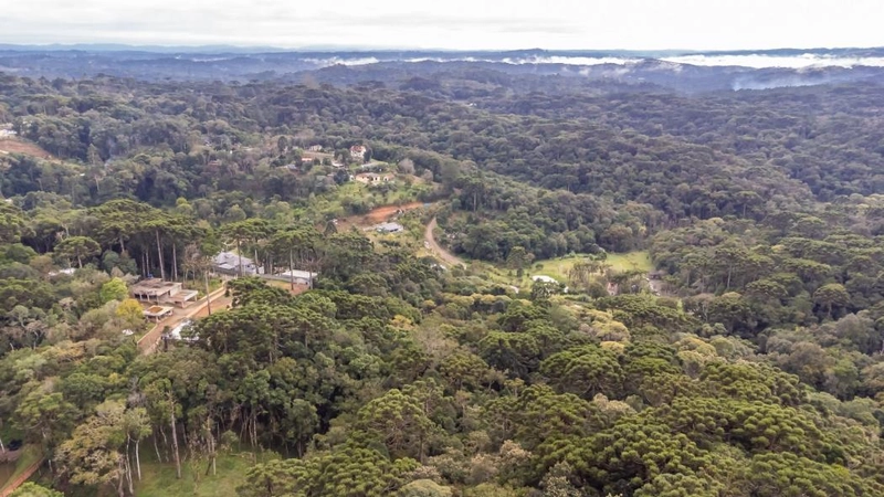 null: 16ª foto da galeria de imagens do imóvel