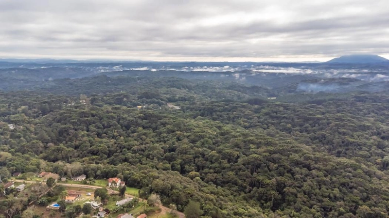 null: 25ª foto da galeria de imagens do imóvel