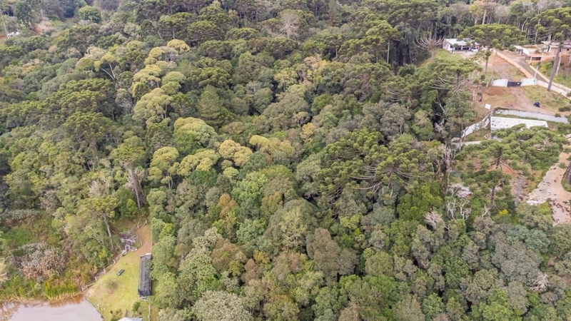 null: 35ª foto da galeria de imagens do imóvel