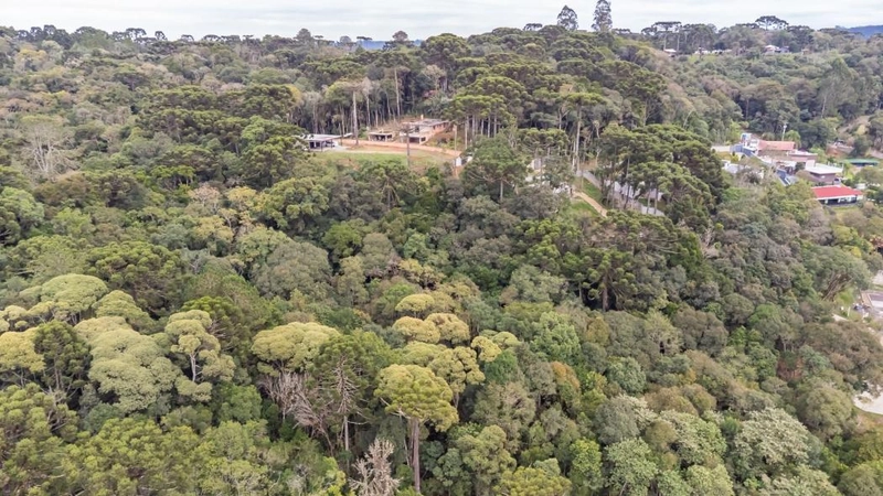 null: 38ª foto da galeria de imagens do imóvel