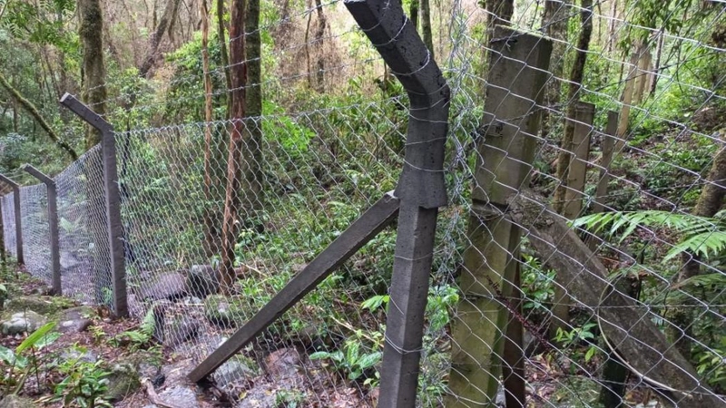 null: 43ª foto da galeria de imagens do imóvel