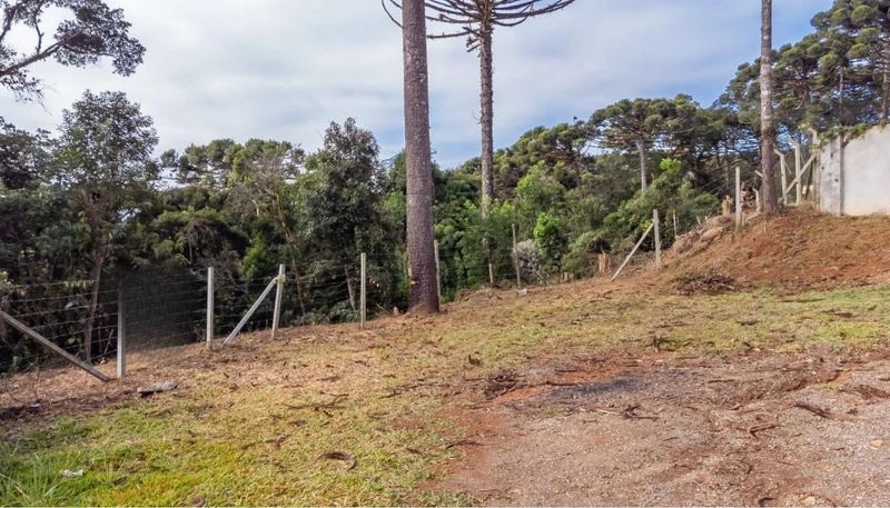 null: 6ª foto da galeria de imagens do imóvel