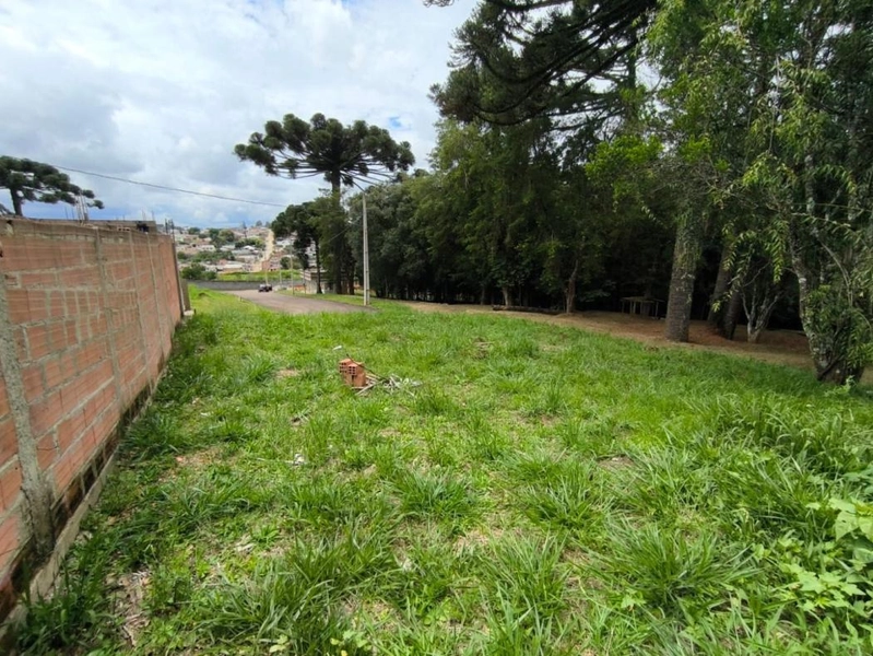 null: 10ª foto da galeria de imagens do imóvel