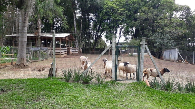 null: 17ª foto da galeria de imagens do imóvel