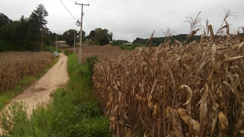 null: 12ª foto da galeria de imagens do imóvel