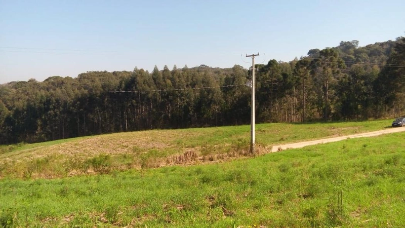 null: 2ª foto da galeria de imagens do imóvel