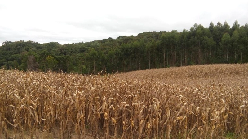 null: 4ª foto da galeria de imagens do imóvel