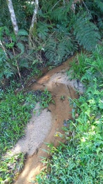 null: 7ª foto da galeria de imagens do imóvel