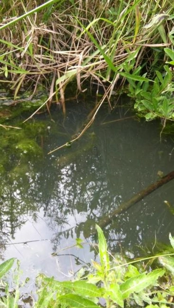 null: 8ª foto da galeria de imagens do imóvel